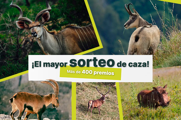 SORTEO CAZA BOAZU